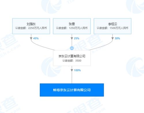 京東云戰(zhàn)略布局再深化 月內新設三家公司，計算機系統集成成焦點